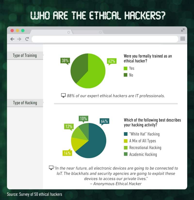 Who are the ethical hackers