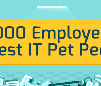 2000 employees biggest IT Pet Peeves